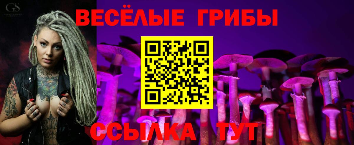 Псилоцибиновые грибы ЛСД  Псилоцибиновые грибы прущие грибы  дарнет шоп  Елизово  Вход с VPN 