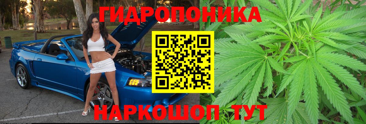 Бошки марихуана OG Kush  Вход с VPN  Елизово  Бошки Шишки MAZAR 